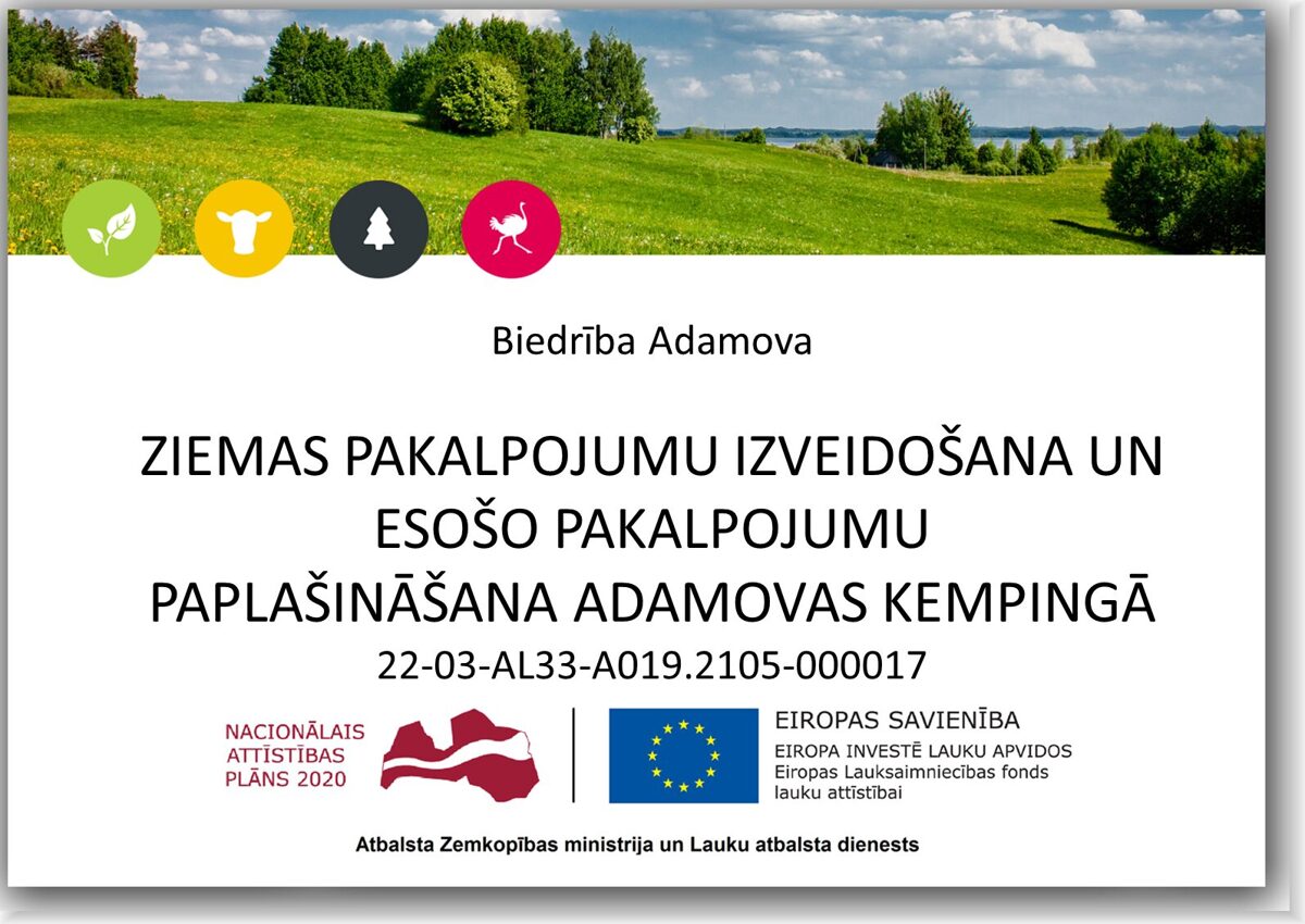 elfla_publicitates_plaksne_liela_2_projekts.jpg
